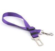 Fixed Strap Dog Strap Dog Leash