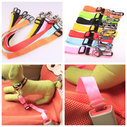 Fixed Strap Dog Strap Dog Leash