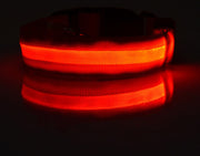 Nylon LED Pet Dog Luminous Collar