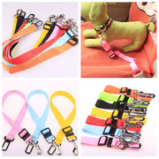 Fixed Strap Dog Strap Dog Leash