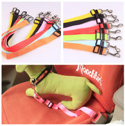 Fixed Strap Dog Strap Dog Leash