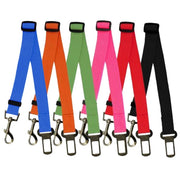 Fixed Strap Dog Strap Dog Leash