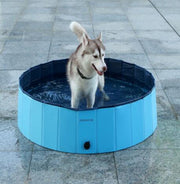Pet Pool Dog Swimming Pool