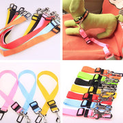 Fixed Strap Dog Strap Dog Leash